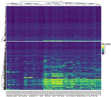 Expression analysis to identify novel biomarkers for reumatoid arthritis.