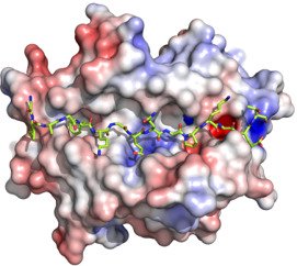 Expression analysis to identify novel biomarkers for reumatoid arthritis.