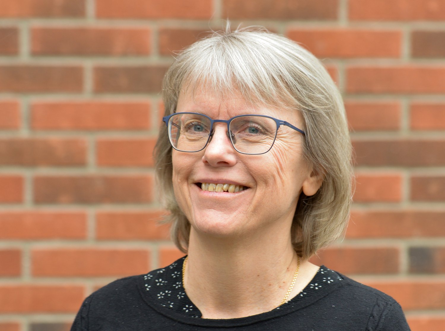 Maria Feychting, professor, Institute of Environmental Medicine.