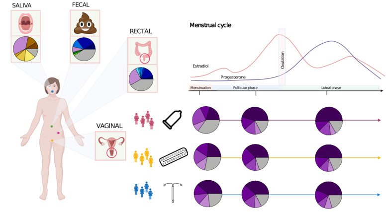 Summary of the MiMens study