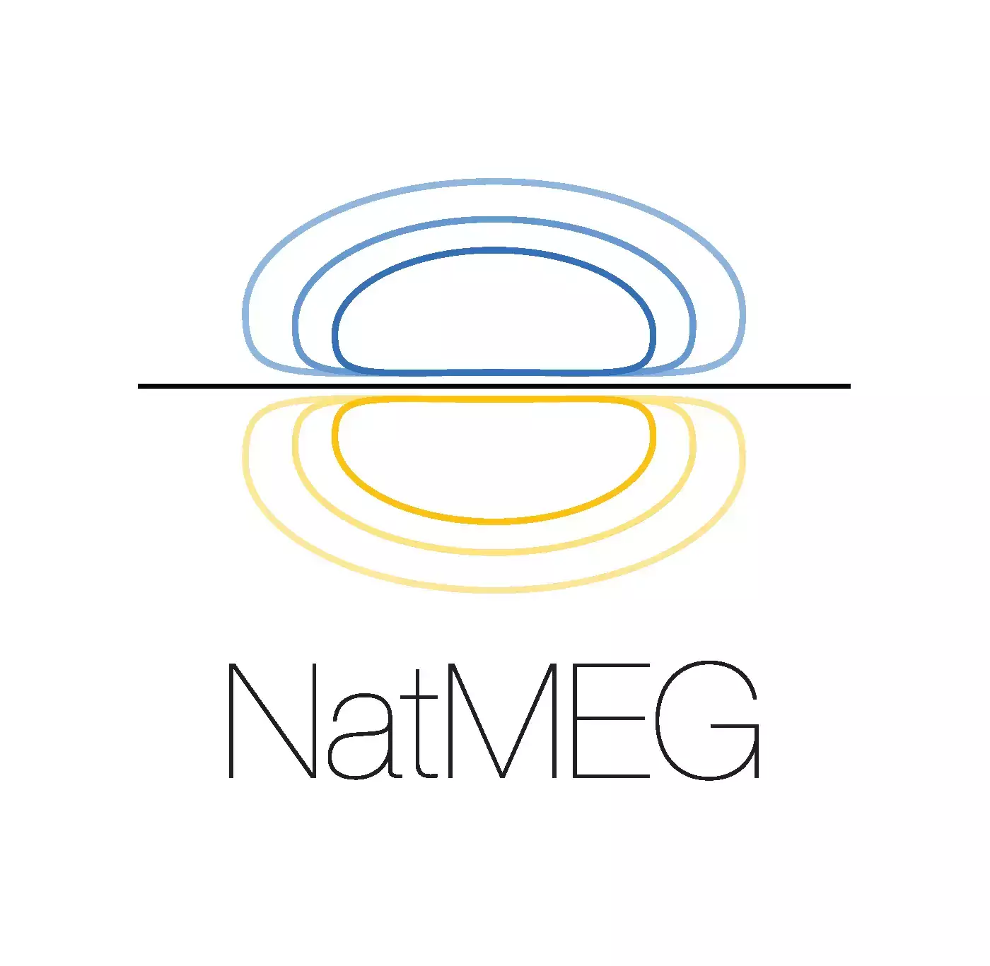 NatMEG logo