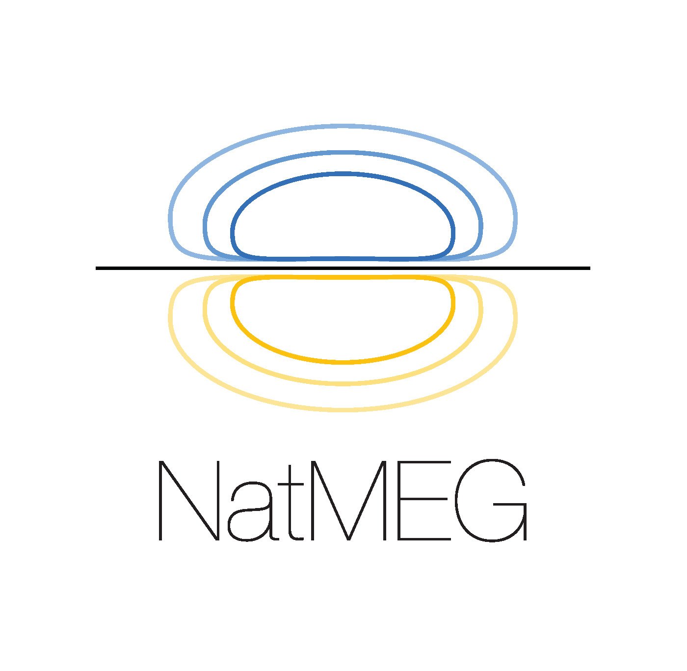 NatMEG logo