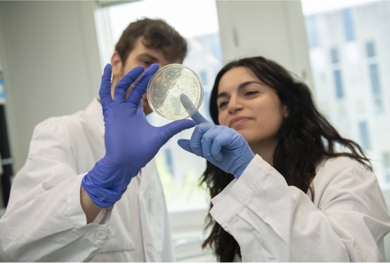 Two scientists with blue gloves are analysing an agar plate