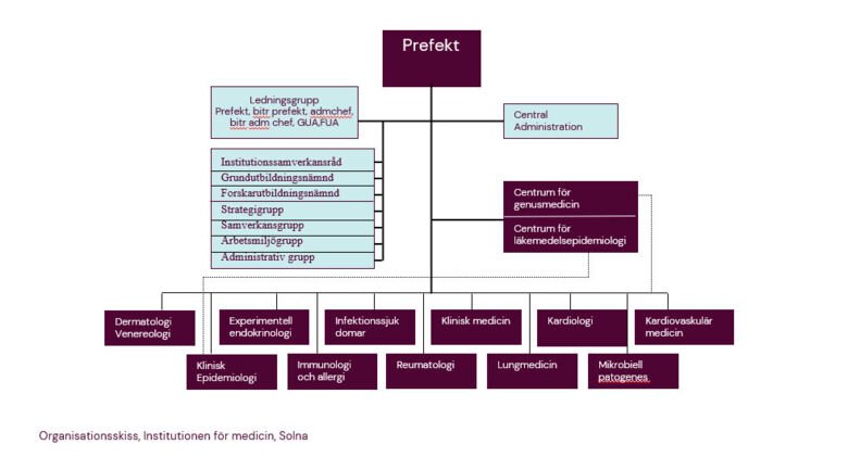 Organization chart MedS