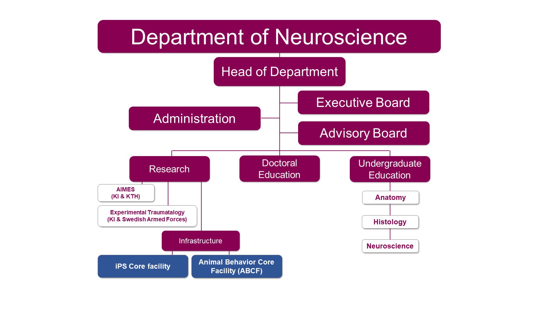 Organisation chart