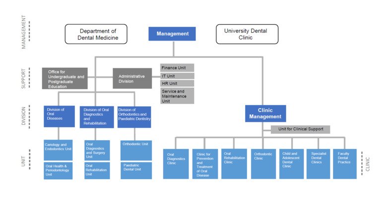The chart shows two organisations that share management. The first organisation has got two supporting divisions and three other divisions. The other one has got one supporting unit and seven clinics.
