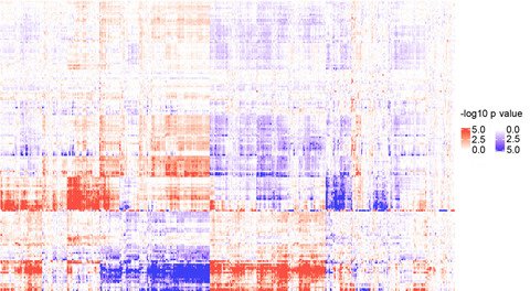 MicroRNA expression across 5000 human tumor samples. Adapted  from Hydbring et al., Cancer Cell, 2017.