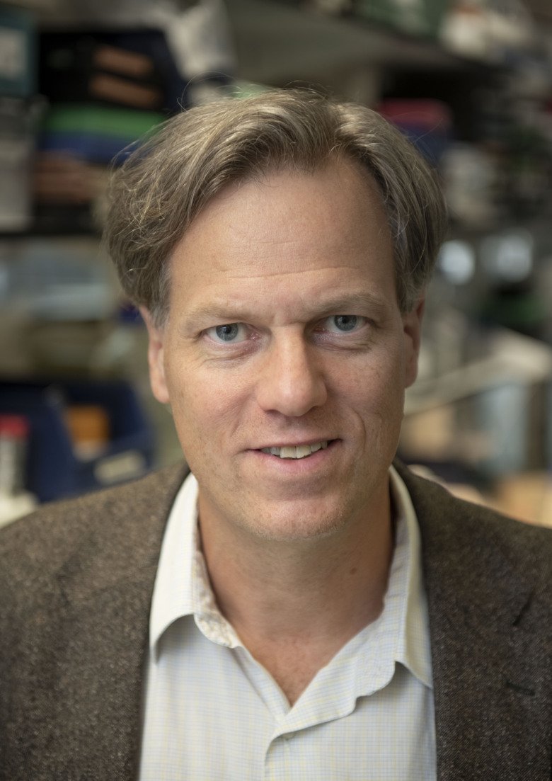 Portrait photo of Per Svenningsson, professor at the Department of Clinical Neuroscience
