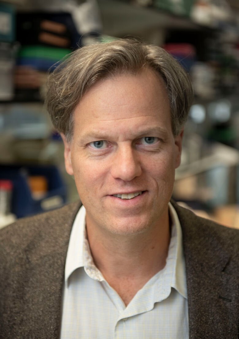 Portrait photo of Per Svenningsson, professor at the Department of Clinical Neuroscience