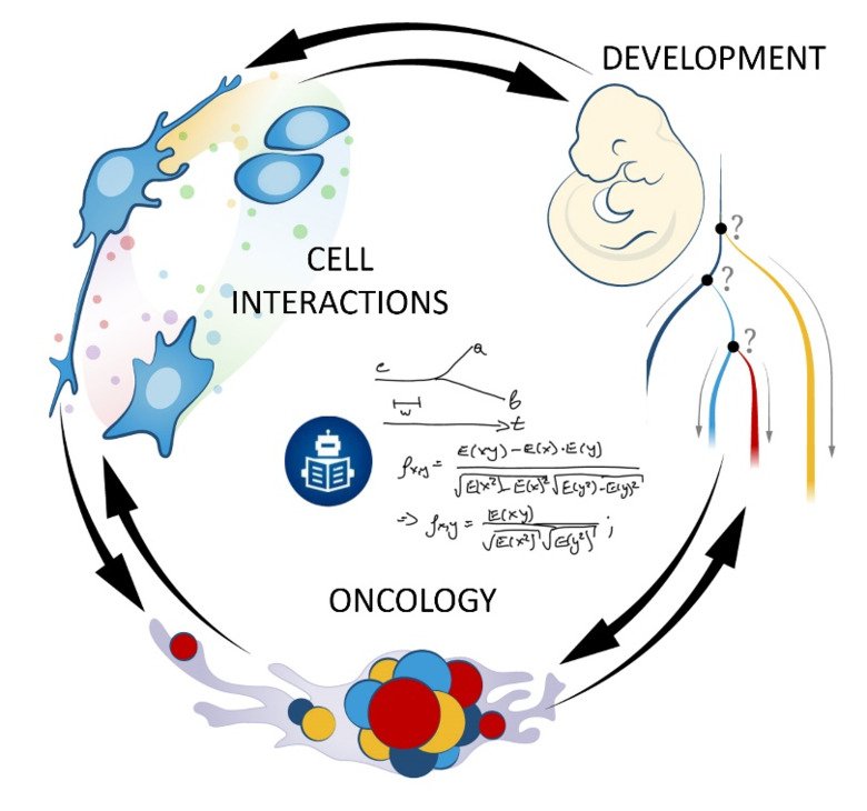 Figures illustrating Returning neural crest-derived tumors back onto developmental path. Development, cell interactions, oncology.