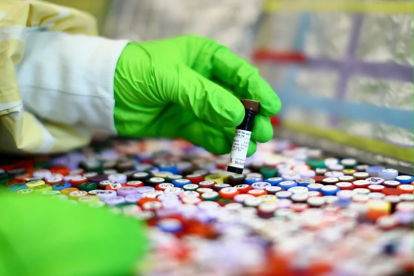 A gloved hand picks up one of many test tubes with colourful corks.