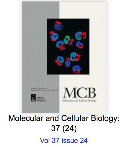 Cover of Molecular and Cellular Biology. Volume 37, issue 24.