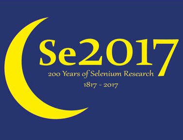 Selenium Conference 2017 Logo