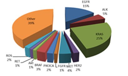 Molecular characterization of non-small cell lung cancer.