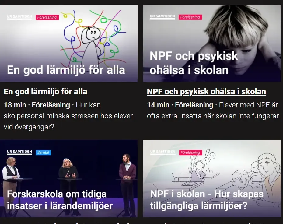 Skärmdump av programmet