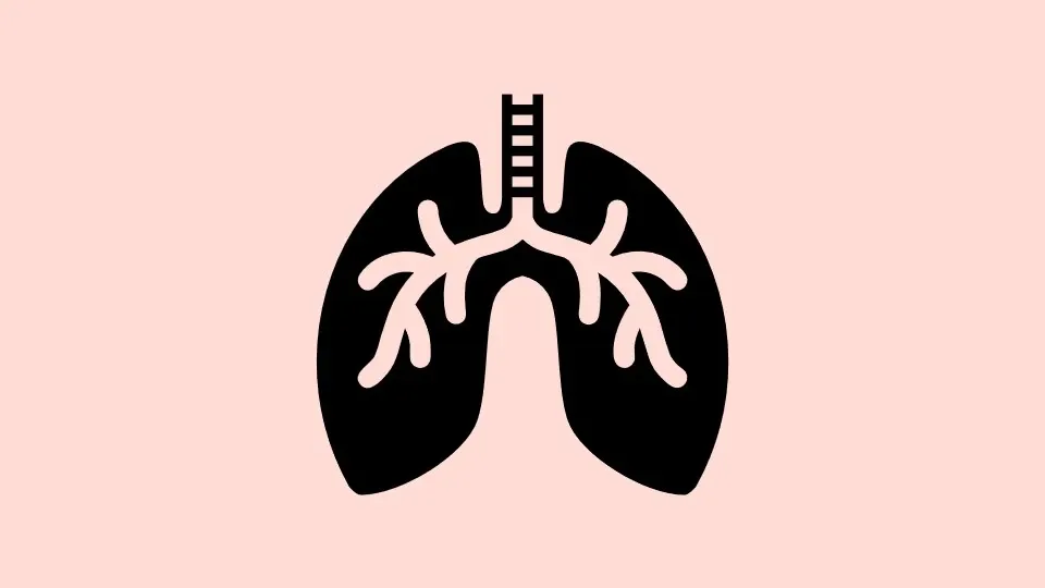 Icon of lungs on light orange background.