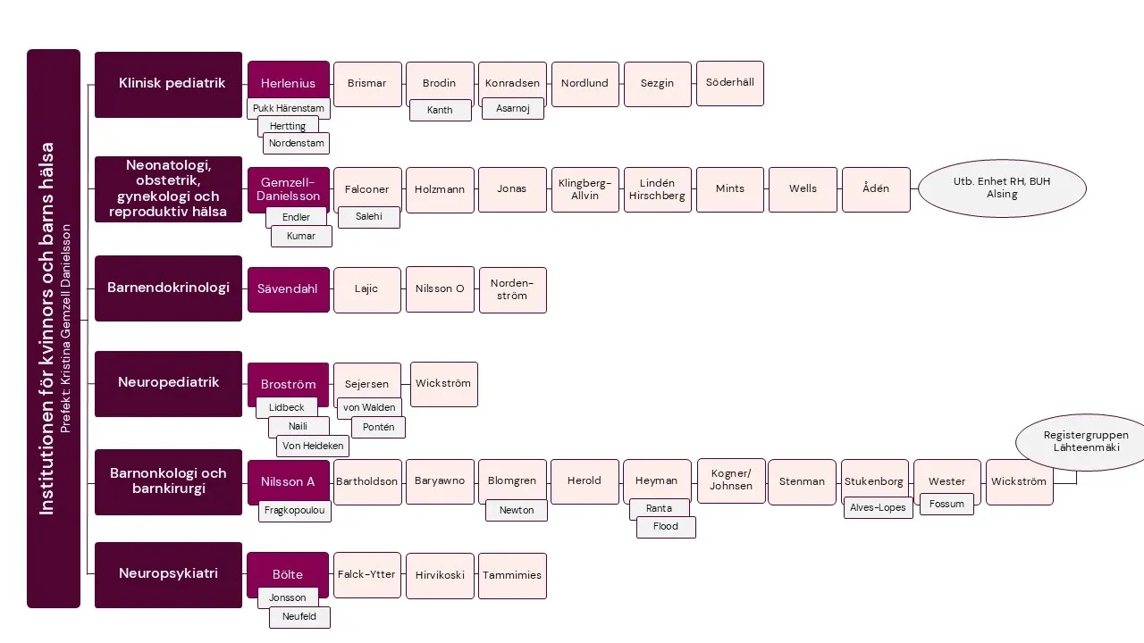 organisationsskiss