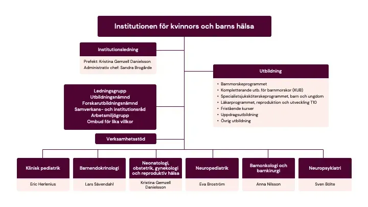 organisationsschema