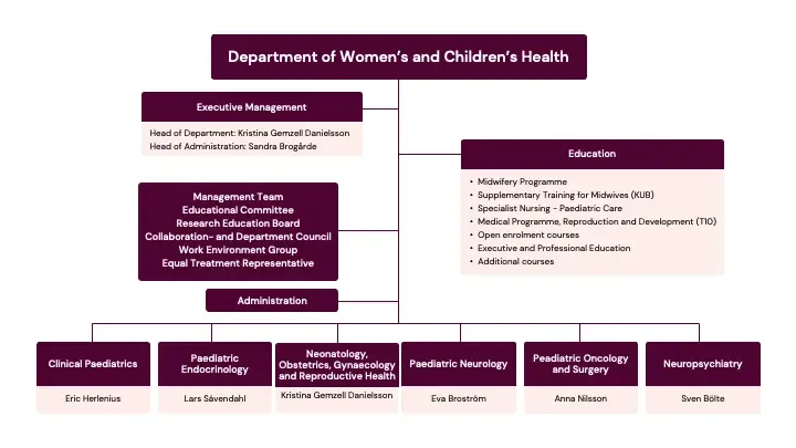 organization map