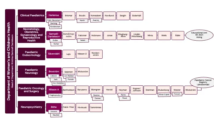 organization map