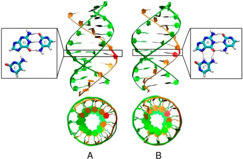 Illustration of DNA spirals in red, blue and green with close-ups of Cytosine