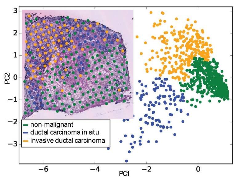 diagram and data with dots in different colours