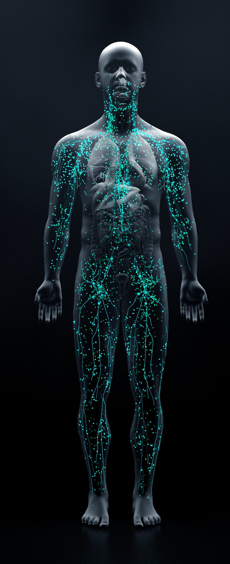 Illustration som visar nervbanor och andra signalvägar i en människokropp.