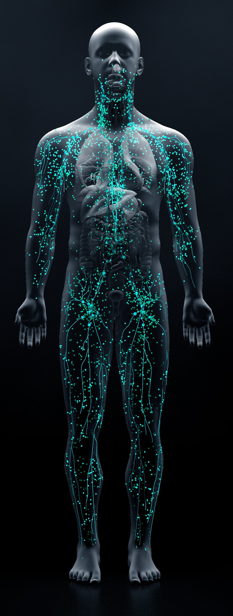 Illustration of neuronal networks and other signal pathways in a human body.
