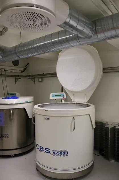 Storage of KIBB's samples.