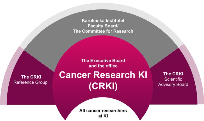 Cancer Research KI