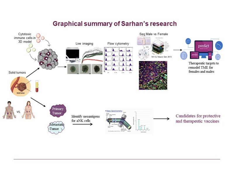 A graphical summary of Dhifaf Sarhan's research