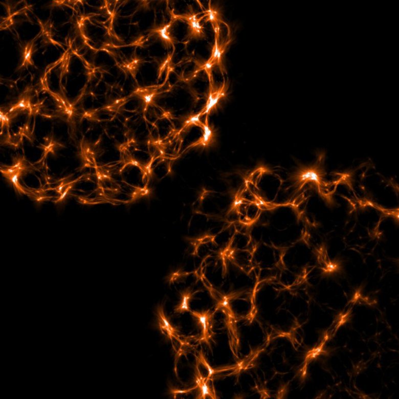 A microscope picture of TIRF B cells with myosin.