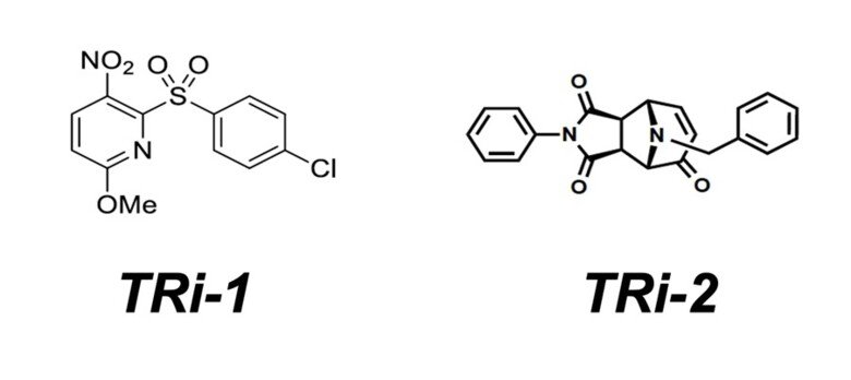 Chemical structure of TRi-1 and TRi-2