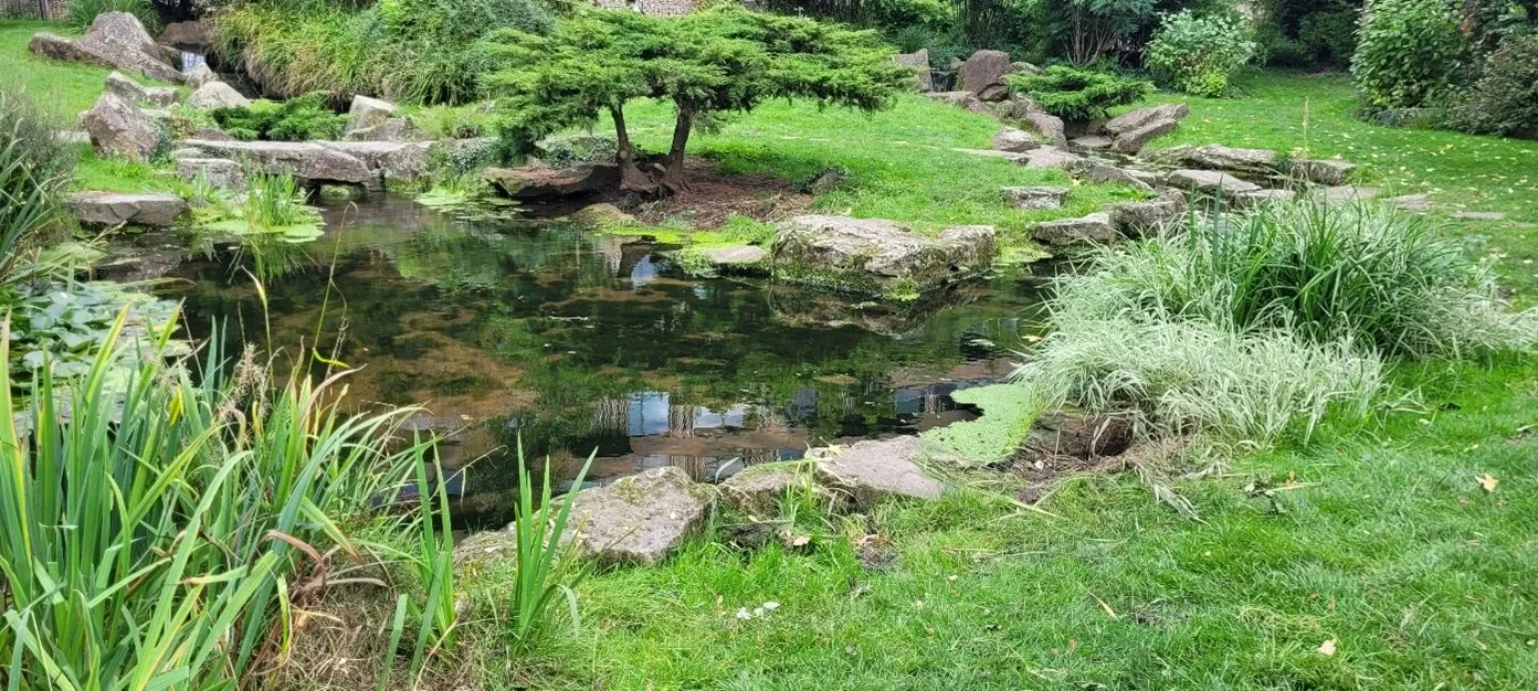 The Japanese garden at Hammersmith Par