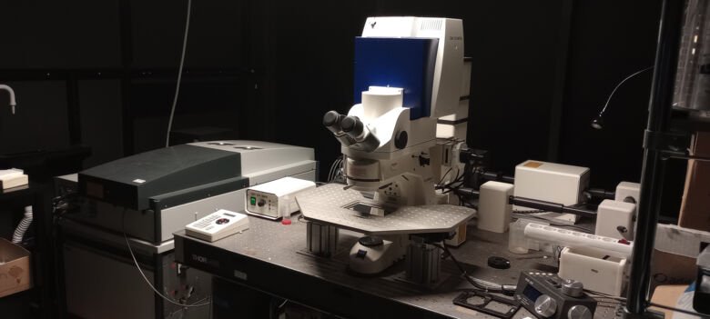 The LSM 510-NLO is a laser point-scanning confocal system based on Zeiss Axioplan 2 imaging model upright microscope with a motorised x/y stage.