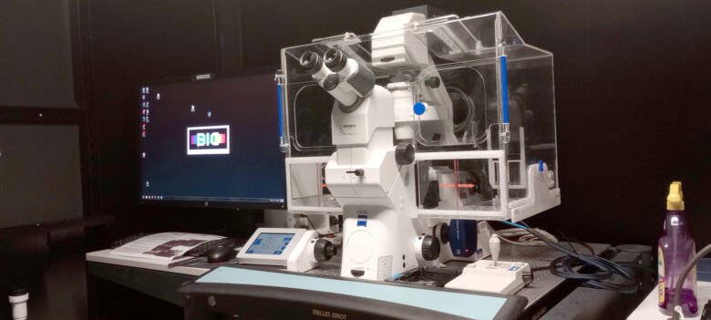 The Zeiss Cell Observer is a widefield inverted microscope equipped with temperature, humidity and CO2 control for live imaging of cells and spheroids/organoids on slides and multi-well plates.