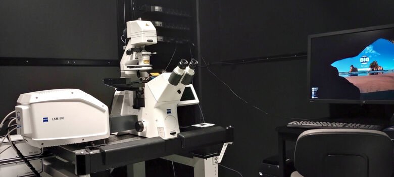 The LSM800-airy microscope has an Airyscan 1 detector which allows acquisition of datasets with up to 2X better resolution than a regular CLSM confocal.