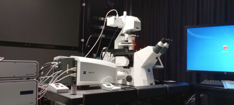 The LSM880 confocal microscope can perform automatic z-stack imaging, tiling, and spectral separate dyes/fluorochromes with overlapping spectra.