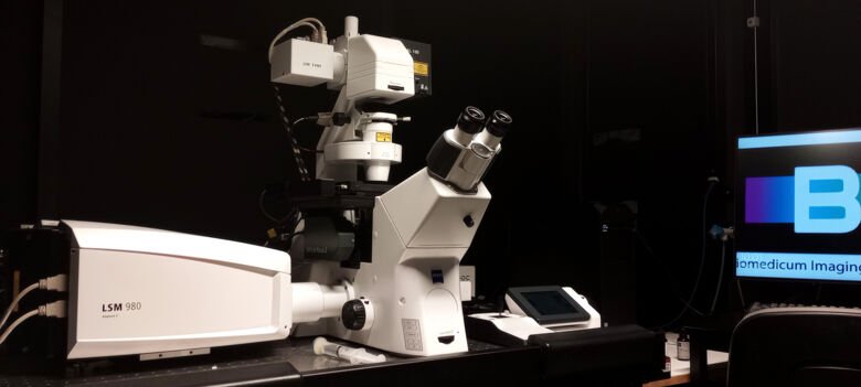 The LSM980-Airy confocal microscope features a Airyscan 2 detector, enabling the acquisition of super-resolution datasets with up to twice the resolution of a standard confocal system and a faster performance.