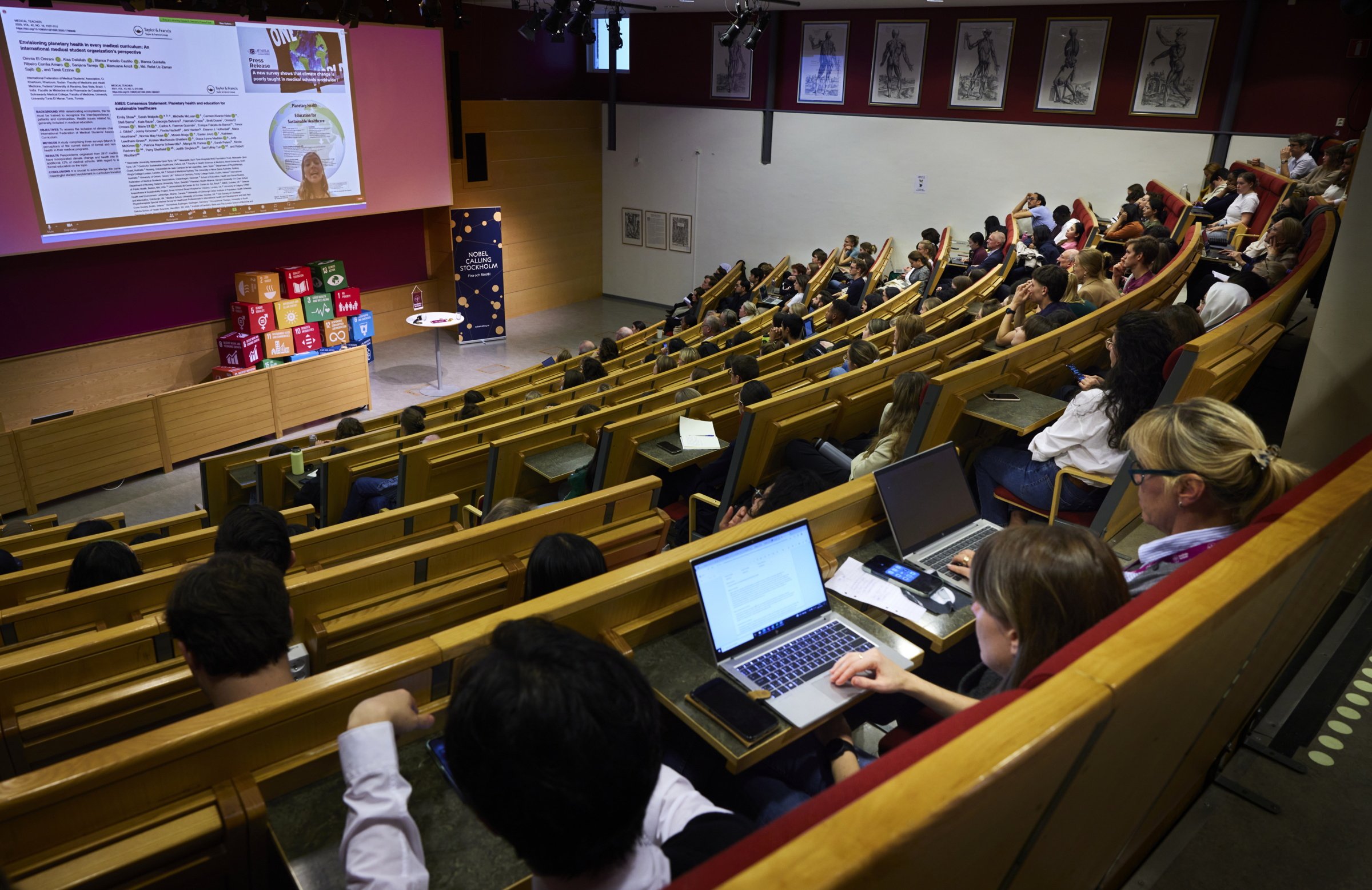 Overwiev image from the conference hall during the Rosling Seminar.