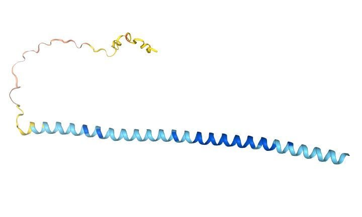 Strukturbild av proteinet alfa-synuklein,