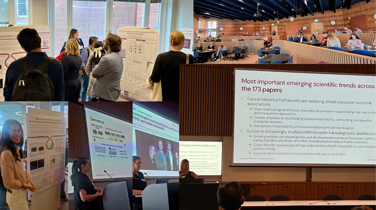 Collage of speakers in front of presentations.