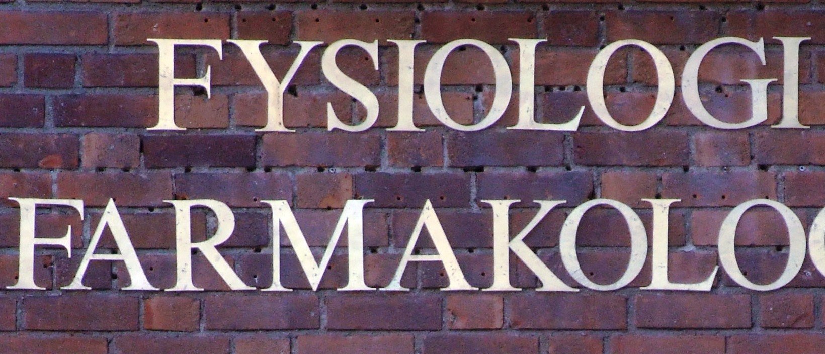 fyfa sign (letters) on brick wall