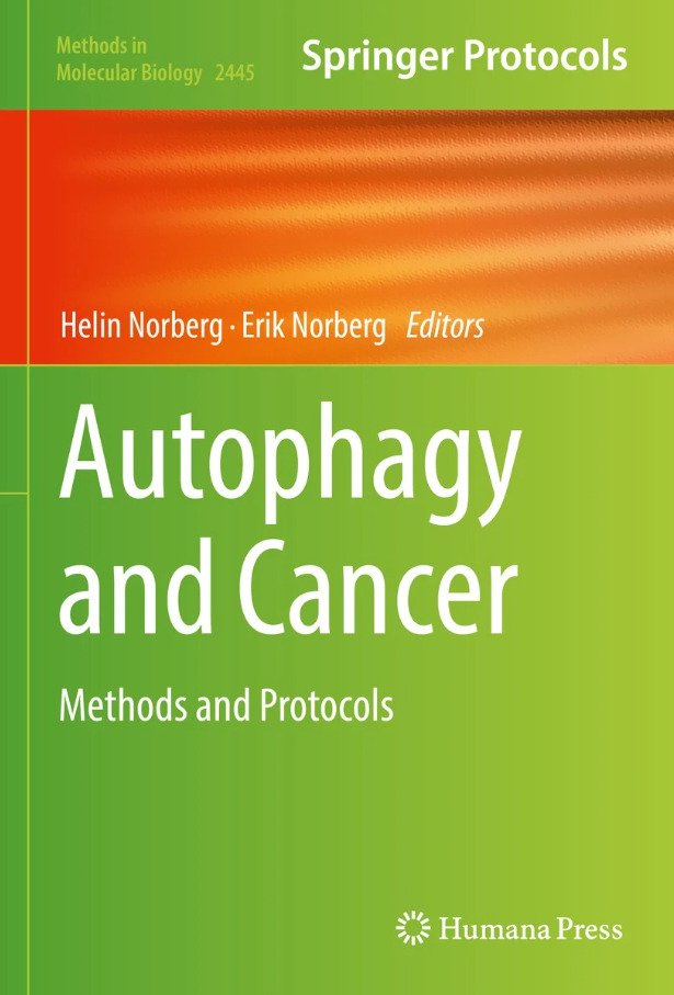 Image of book cover text on green and orange background