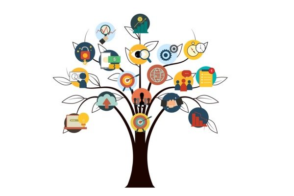 Illustration of a tree, symbolising an organisation.