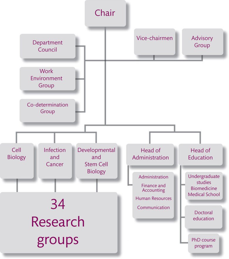 About The Department Of Cell And Molecular Biology | Karolinska Institutet