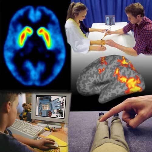 collage of images illustrating cognitive neuroscience