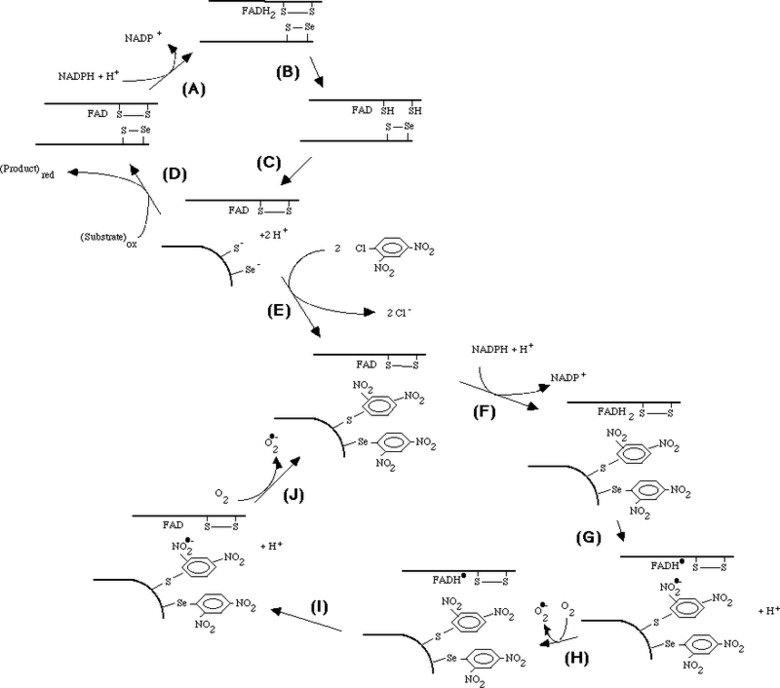 DCNB mechanism