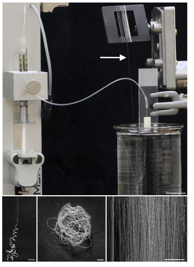 Biomimetic spinning of artificial spider silk