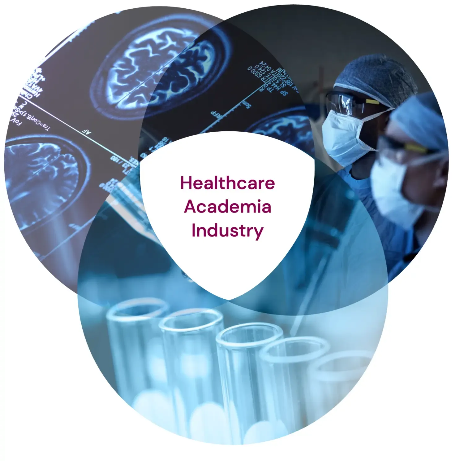 Venn diagram with illustrations of healthcare, academia and industry.